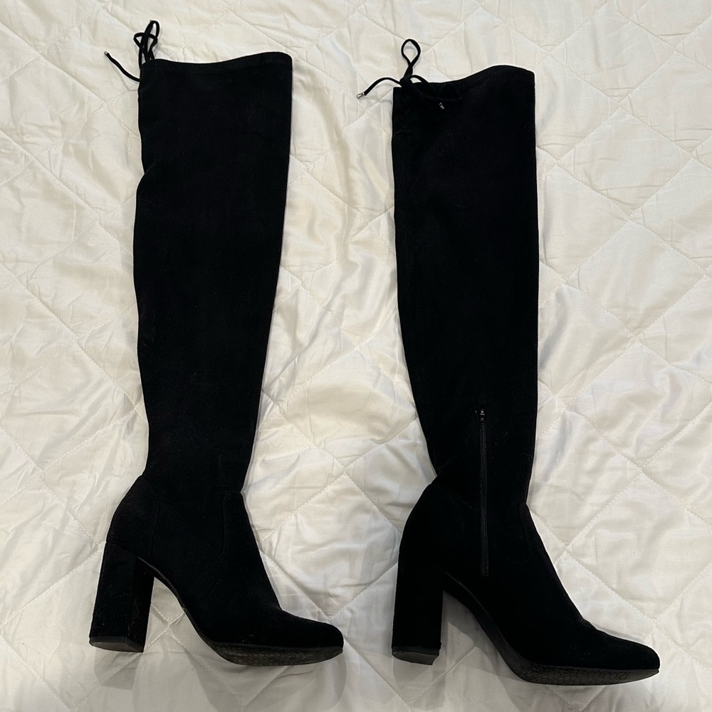 Steve Madden knee high boot